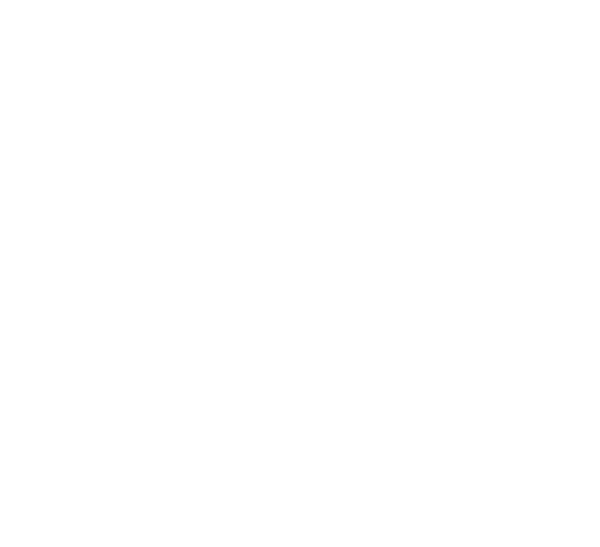 Scout logo white